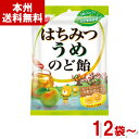 ノーベル 110g はちみつうめのど飴 (はちみつ 梅 キャンディ のどあめ お菓子 まとめ買い) (本州送料無料)