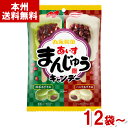 あめ・キャンディ ノーベル 70g あいすまんじゅう キャンディ (キャンディー 飴 あめ お菓子 おやつ まとめ買い) (本州送料無料)