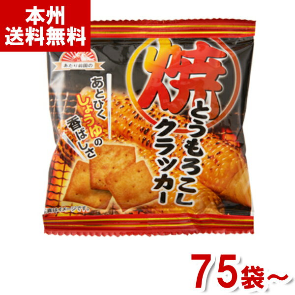 前田製菓 あたり前田のクラッカー 90g入×10袋セット【送料無料】