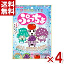 味覚糖 ぷっちょ袋 4種アソート 88g×4袋入 (ポイント消化) (CP)(賞味期限2024.11月末) (メール便全国送料無料)*