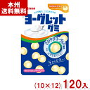 【内容量】 51g 【賞味期限】 メーカー製造日より10ケ月(未開封)です。実際にお届けする商品は、賞味期間は短くなりますのでご了承下さい。 【保存方法】 直射日光、高温多湿をおさけ下さい。 【原材料】 水あめ（国内製造）、砂糖、濃縮ヨーグルトペースト、ゼラチン、植物油脂、でん粉／ソルビトール、酸味料、乳酸カルシウム、ゲル化剤（ペクチン）、香料、光沢剤、（一部に乳成分・りんご・ゼラチンを含む） 【商品説明】 ヨーグレットのさわやかなヨーグルト風味のグミです。 コラーゲン&カルシウム配合。 グニグニ食感により、“おいしさ”、“楽しさ”、“健康感”を提供するグミです。 ※リニューアルに伴い、パッケージやアソート内容が変更になる場合がございます。あらかじめご了承下さい。 ヨーグレットグミ ヨーグルトグミ ヨーグレット グミ ハイレモングミ ハイレモン 懐かしいお菓子 グミ アトリオン アトリオン製菓 atrion コラーゲン カルシウム 懐かしい お菓子 おかし おやつ 送料無料 大量 学童 子ども会 子供会 景品 会社 企業 法人 企画 イベント 祭り 販促品 粗品 ノベルティ アミューズメント ゲームセンター クレーンゲーム 景品 賞品 箱買い 箱 ケース販売 ケース 卸売り 問屋 買い置き 買いだめ まとめ買い まとめ売り