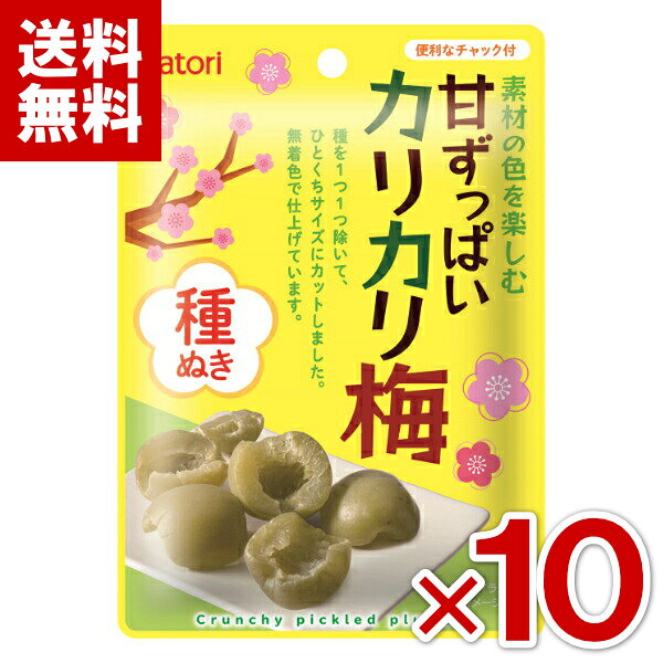 (賞味期限2026.1.16) なとり 素材の色を楽しむ 甘ずっぱいカ...(4)