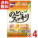 春日井 のどにスッキリ マイルドフルーツ 118g×4袋入 (ポイント消化) (CP) (賞味期限2026.2月末) (メール便全国送料無料)