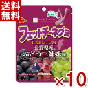 ブルボン フェットチーネグミ プレミアム ぶどう三姉妹味 50g×10入 (ポイント消化) (CP) (賞味期限2025.9月末) (メール便全国送料無料)*