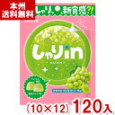 カバヤ 52g しゃりinグミ マスカットソーダ (10×12)120入 (新食感 グミ お菓子 景品 販促 まとめ買い) (ケース販売)(Y12) (本州送料無料)|詳細画像