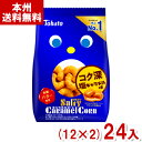 東ハト 67g ソルティキャラメルコーン (12×2)24入 (塩キャラメル スナック お菓子 景品) (Y12)(2ケース販売) (本州送料無料)