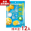 ノーベル 90g 無添加つぶ塩レモンのど飴 (6×2)12袋入 (レモン 塩 飴 のどあめ キャンディ 個包装) (Y80) (本州送料無料)