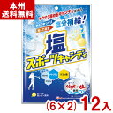 パイン 70g 塩スポーツキャンディ (6×2)12入 (塩飴 キャンディ 塩分補給 お菓子 景品 大量 まとめ買い) (Y80) (本州送料無料)