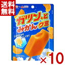 不二家 ガツン、とみかんグミ 53g×10入 (グミ お菓子) (ポイント消化) (CP) (賞味期限2026.2月末) (メール便全国送料無料)