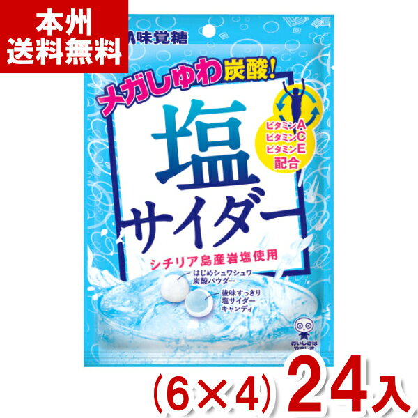 味覚糖 66g 塩サイダー (6×4)24入 (飴 キャンディ 塩分補給 熱中症対策 塩飴 お菓子 景品 まとめ買い) (Y80) (レ) (本州送料無料)*のサムネイル