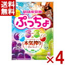 味覚糖 ぷっちょ袋 4種アソート 88g×4袋入 (ポイント消化) (CP) (賞味期限2025.12月末) (メール便全国送料無料)