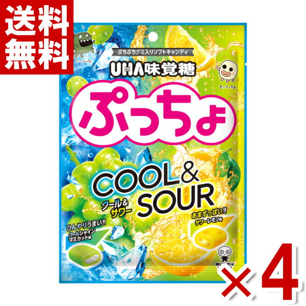 味覚糖 ぷっちょ袋 クール＆サワー 68g×4袋入 (ポイント消化) (CP)(賞味期限2024.11月末) (メール便全国送料無料)