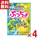 味覚糖 ぷっちょ袋 クール＆サワー 68g×4袋入 (ポイント消化) (CP)(賞味期限2024.11月末) (メール便全国送料無料)