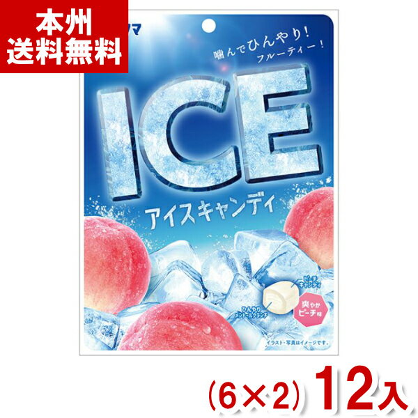 サクマ 50g アイスキャンディ (6×2)12入 (ICE 桃 ピーチ メントール キャンディ 飴 個包装 お菓子) (Y80) (本州送料無料)