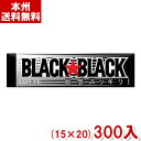 ロッテ ブラックブラックガム (15×20)300入 (ケース販売)(Y80) (板ガム 強力 ミント) (本州送料無料)