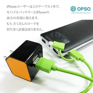 ライトニングUSBケーブル