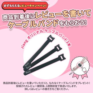 レビューを書いてアクセサリーをゲット
