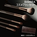 コスメブラシ 5本セット ケース付き コンシーラーブラシ メイクブラシ 可愛い 誕生日 母の日 彼女 プレゼント おしゃれ コスメ商品 babrea-set