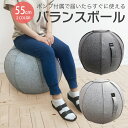 バランスボール 55cm カバー 椅子 エクササイズ おしゃれ バランスツール バランスチェア ボール 簡易ポンプ付き balance-ball