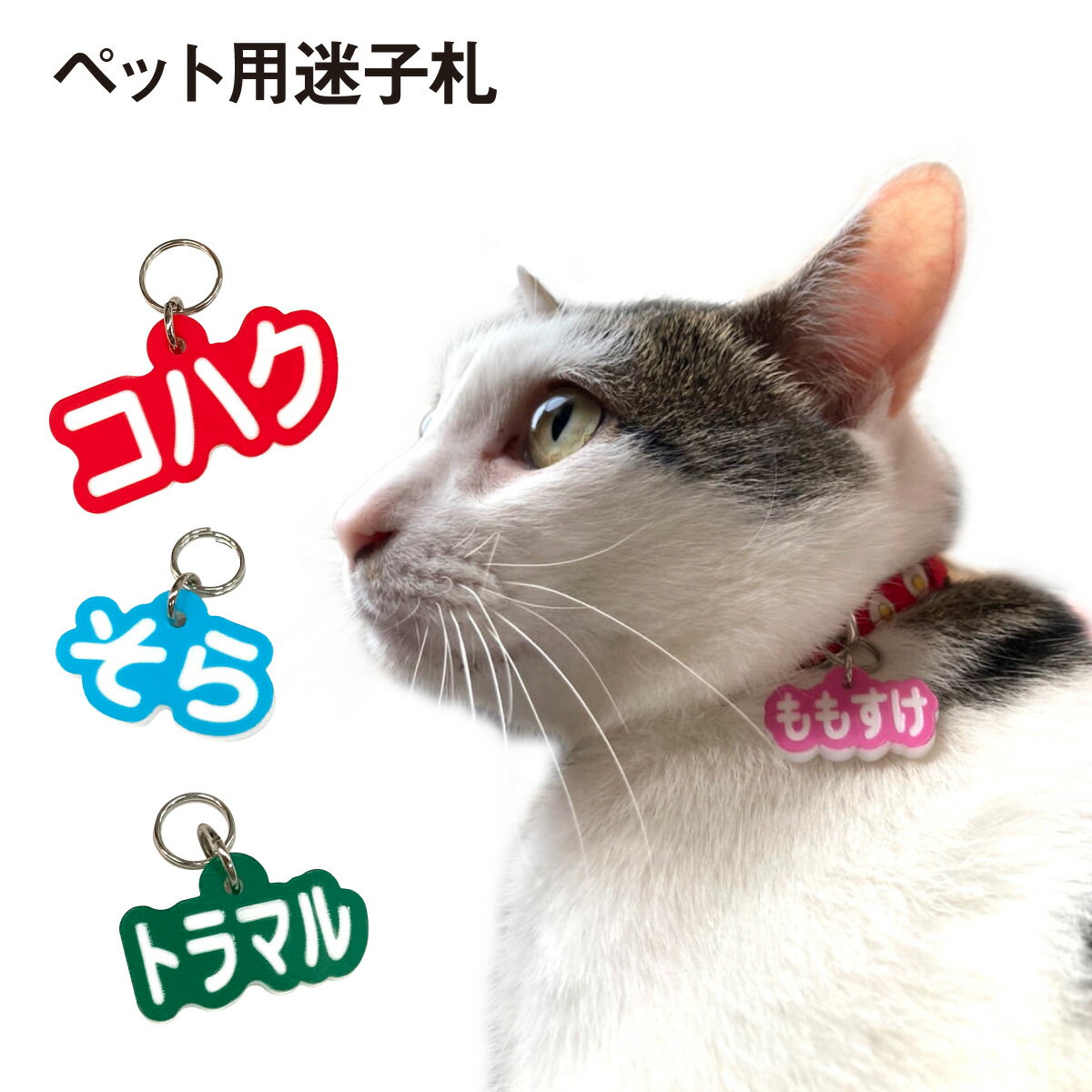 【ポイント5倍&110円～500円offクーポン配布】 迷子札 犬 猫 ペット 名札 ネームプレート 白アクリル まいごふだ オーダーメード おしゃれ いぬ ねこ pn-tag