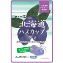 グミ 乳酸菌入り 北海道 ハスカップ グミ カネカ食品 オホーツクの塩使用 美味しい スッキリ 酸味 甘味 塩味 果汁ジュレ ラブレ乳酸菌 北海道産 ハスカップ オホーツク産 塩 JAびばい カネカ食品 共同開発 二重構造グミ