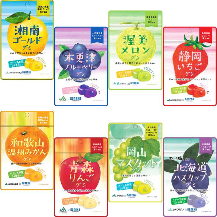お試し 8種類各1袋 8袋セット販売 期間限定 カネカ食品 JA 共同開発 グミ 乳酸菌入り 湘南ゴールド 木更津ブルーベリー 渥美メロン 静岡いちご 和歌山温...
