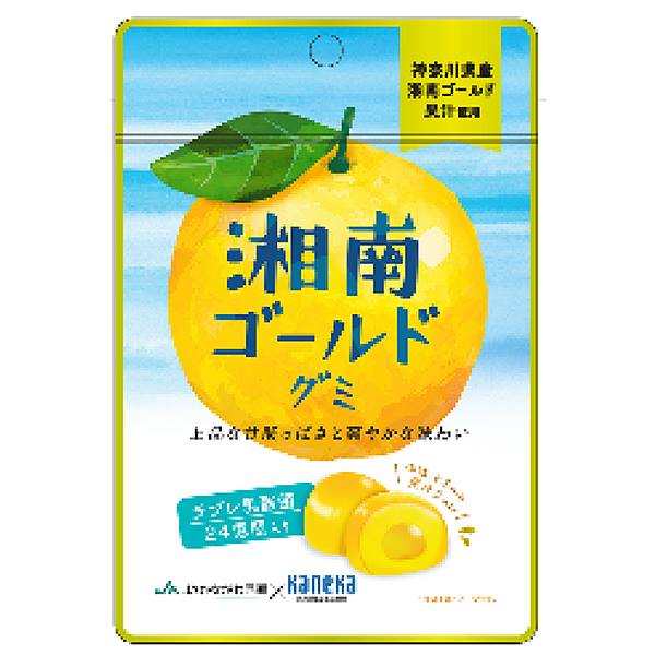 グミ 乳酸菌入り 湘南ゴールドグミ カネカ食品 美味しい スッキリ 甘酸っぱさ さわやかな味わい 果汁ジュレ ラブレ乳酸菌 神奈川県産 湘南ゴールド JA神奈川西湘 カネカ食品 共同開発 二重構造グミ