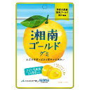 グミ 乳酸菌入り 湘南ゴールドグミ カネカ食品 美味しい スッキリ 甘酸っぱさ さわやかな味わい 果汁ジュレ ラブレ乳酸菌 神奈川県産 湘南ゴールド JA神奈川西湘 カネカ食品 共同開発 二重構造グミ