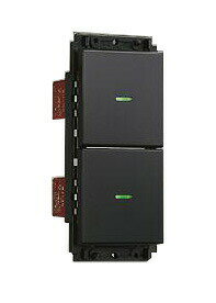 大光電機 DP-40391 ON/OFFスイッチ 2個 照明器具部材