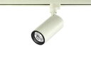 大光電機 LZS-92537LW LEDシリンダースポットライト プラグタイプ LZ0.5C ダイクロハロゲン75W形65W相当 30°広角形 電球色 調光可能 施設照明 天井照明 cylinder spot 電源内蔵 COBレンズ制御