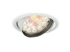 遠藤照明 ERD7205W 施設照明 LED生鮮食