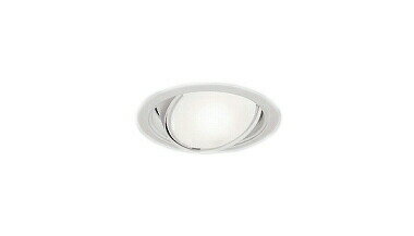 遠藤照明 ERD9166W LEDユニバーサルダ�