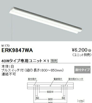 遠藤照明 ERK9847WA 施設照明 LEDベース