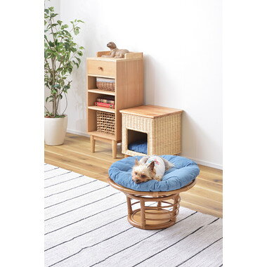 ��ë PET-64 �����������ġ��� �ڥåȥ��ġ��� ���å�2 ���55��H35