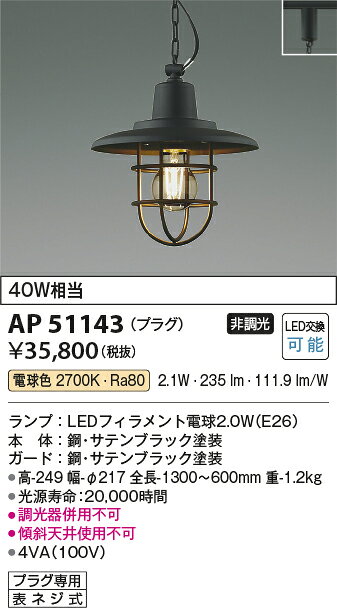 コイズミ照明 AP51143 LEDペンダントライト マリンシリーズ 電球色 白熱球40W相当 プラグタイプ 電気工事不要 調光不可 照明器具 天井照明 吊下げ リビング・ダイニングなどに [2]