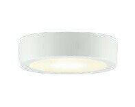  AH52285 LED󥰥饤 ŵ忧 Ǯ60W ľառ ŵ Ĵ  ŷ