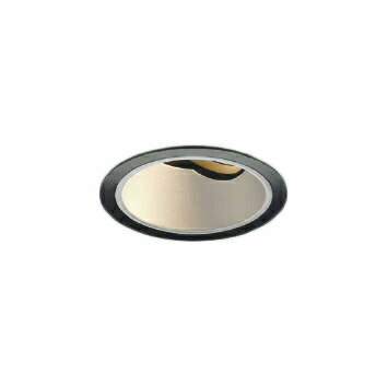 ߾ XD004027BL LED˥С饤 X-Pro 100  С 2000/1500lm...