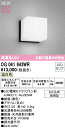 オーデリック OG041643WR エクステリア LEDポーチライト R15高演色 クラス2 白熱灯器具60W相当 温白色 非調光 防雨型 照明器具 屋外用 玄...