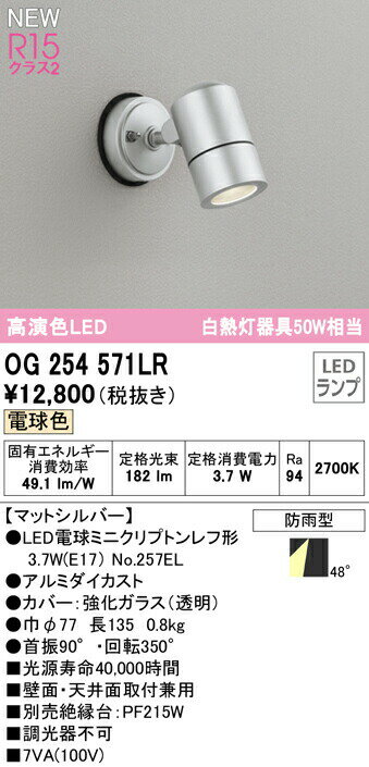 ★オーデリック OG254571LR エクステリア LEDスポットライト 白熱灯器具50W相当 高演色R15 クラス2 電球色 非調光 防雨型 照明器具 アウトドアライト 壁面・天井面取付兼用