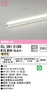 オーデリック OL291215R LED間接照明 R15高演色 クラス2 スタンダードタイプ ノーマルパワー 長600 非調光 電球色 照明器具 おしゃれ 壁面・天井面・床面取付兼用(3)