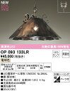 オーデリック OP093133LR LEDペンダントライト R15高演色 クラス2 白熱灯器具100W相当 電球色 非調光 照明器具 天井照明 吊下げ