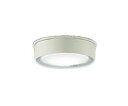 大光 DWP-42193W LEDアウトドアライト 軒下シーリング 人感センサー 連動ON/OFFタイプIII 昼白色 非調光 白熱灯100W相当 照明器具 共用部廊下など 屋外用