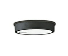 オーデリック OG254523R エクステリア LEDシーリングライト FLAT PLATE R15高演色 クラス2 白熱灯器具100W相当 人感センサー付 昼白色 113°拡散配光 要電気工事 照明器具 屋外用 軒下用