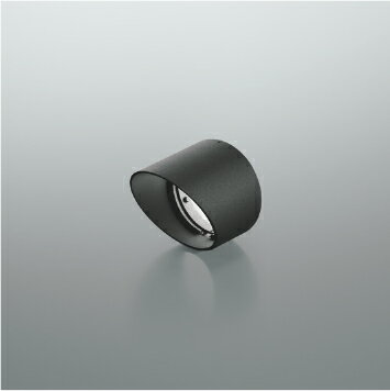 コイズミ XE57193 eX-Pro アウトドアスポットライト φ55用フード スラッシュフード 照明器具部材