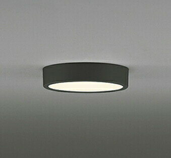 Other - ★オーデリック OL251753R LED小型シーリングライト FLAT PLATE [フラットプレート] LED一体型 R15クラス2 非調光 電球色 白熱灯100W相当 照明器具 内玄関 廊下 壁面・天井取付兼用