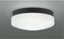 ★コイズミ AU55989 エクステリア 防雨・防湿型 軒下用LEDシーリングライト 昼白色 FCL30W相当 非調光 直・壁取付 照明器具 アウトドアライト ...