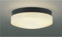 ★コイズミ AU55992 エクステリア 防雨・防湿型 軒下用LEDシーリングライト 電球色 FCL20W相当 非調光 直・壁取付 照明器具 アウトドアライト ...