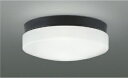 ★コイズミ AU55993 エクステリア 防雨・防湿型 軒下用LEDシーリングライト 昼白色 FCL20W相当 非調光 直・壁取付 照明器具 アウトドアライト ...