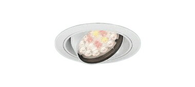 遠藤照明 ERD7202WA 生鮮食品用照明 LED