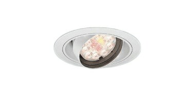 遠藤照明 ERD7452WA 生鮮食品用照明 LEDZ Rs ユニバーサルダウンライト 埋込穴φ150 本体のみ 電源ユニット別売 2400タイプ CDM-TC35W器具相当 21°中角配光 生鮮ナチュラルタイプ 施設照明
